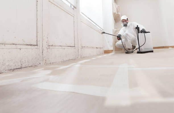 24/7 Emergency Commercial Mold Remediation experts in East Rutherford, NJ
